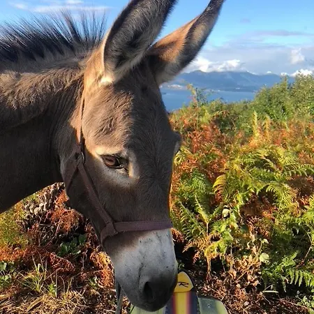 팜스테이 Biomatto *