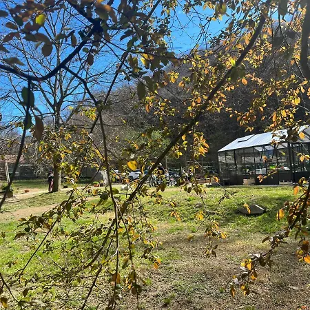 Biomatto 农家乐 阿罗纳