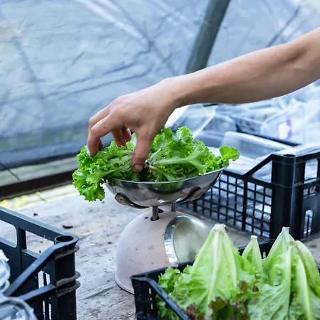 Biomatto 팜스테이 *