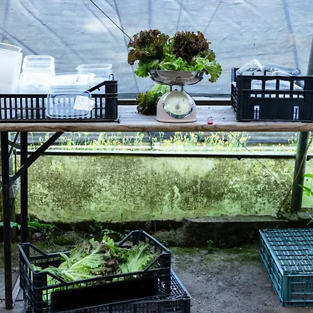 Biomatto 팜스테이 아로나