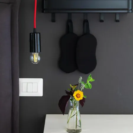 팜스테이 Biomatto