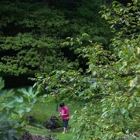 农家乐 Biomatto *