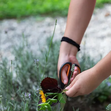 팜스테이 Biomatto 아로나