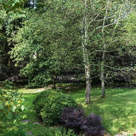 Biomatto * 아로나