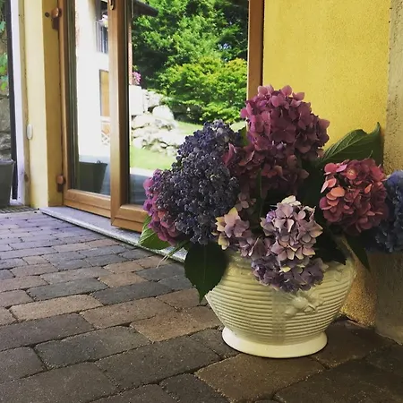 Bauernhof Biomatto Arona