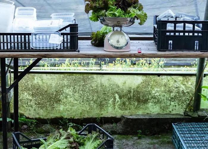 Biomatto Agroturismo Arona