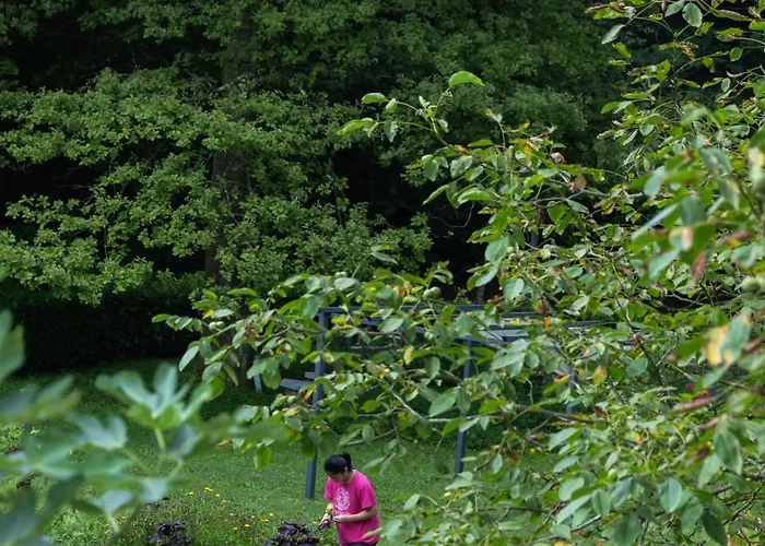 Agroturismo Biomatto *