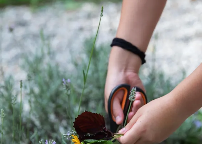 Agroturismo Biomatto Arona